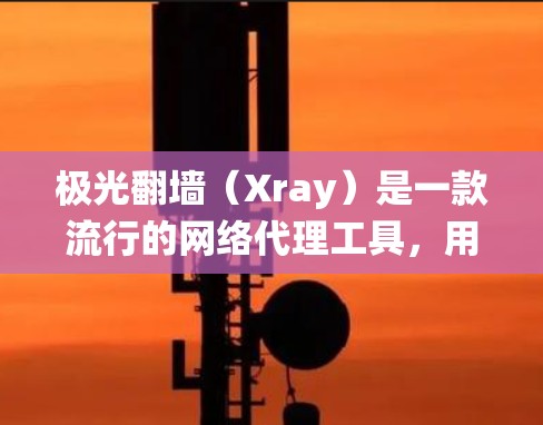 极光翻墙（Xray）是一款流行的网络代理工具，用户可以通过它绕过网络限制，访问被屏蔽的网站或服务。如果你想使用极光翻墙的全球线路，可以按照以下步骤操作