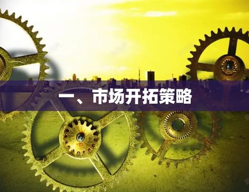 一、市场开拓策略