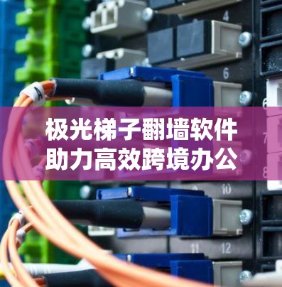 极光梯子翻墙软件助力高效跨境办公