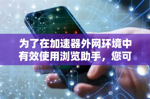 为了在加速器外网环境中有效使用浏览助手，您可以按照以下步骤进行配置和优化