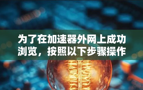 为了在加速器外网上成功浏览，按照以下步骤操作