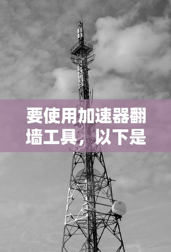 要使用加速器翻墙工具，以下是分步骤的指南
