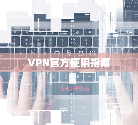 VPN官方使用指南