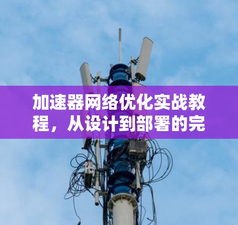 加速器网络优化实战教程，从设计到部署的完整指南