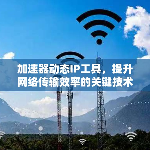 加速器动态IP工具，提升网络传输效率的关键技术