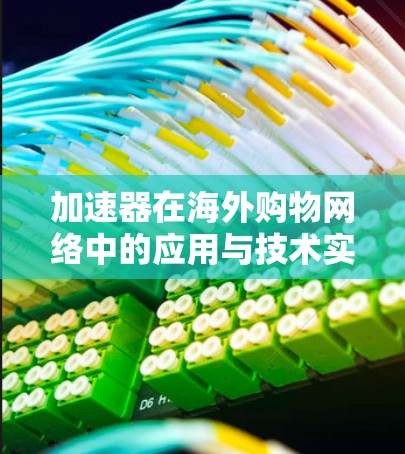 加速器在海外购物网络中的应用与技术实现