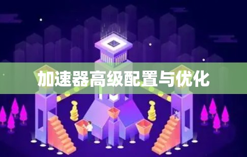 加速器高级配置与优化