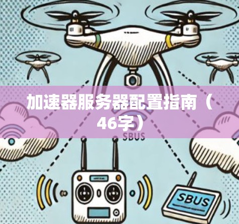 加速器服务器配置指南（46字）