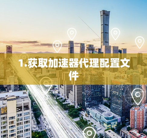 1.获取加速器代理配置文件 1.获取加速器代理配置文件