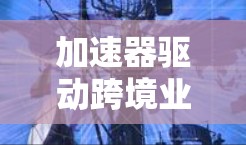 加速器驱动跨境业务网络创新