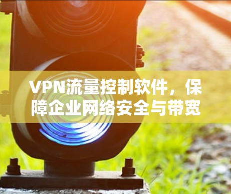 VPN流量控制软件,保障企业网络安全与带宽优化 VPN流量控制软件,保障企业网络安全与带宽优化