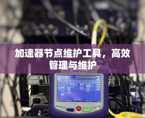 加速器节点维护工具,高效管理与维护 加速器节点维护工具,高效管理与维护