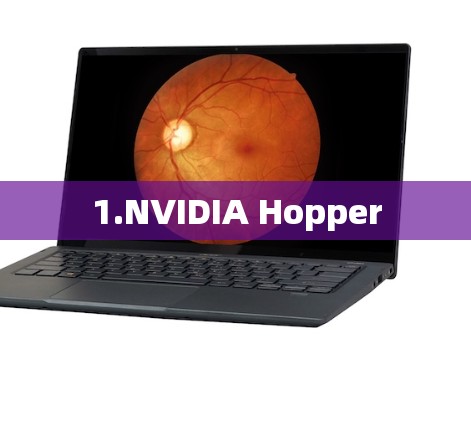 1.NVIDIA Hopper 1.NVIDIA Hopper