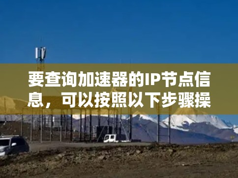 要查询加速器的IP节点信息,可以按照以下步骤操作 要查询加速器的IP节点信息,可以按照以下步骤操作