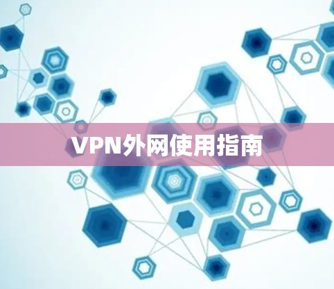 VPN外网使用指南