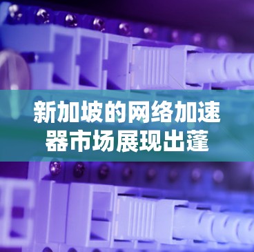 新加坡的网络加速器市场展现出蓬勃发展前景，得益于其先进的互联网基础设施、快速增长的数字经济以及政府对科技创新的大力支持。以下是对新加坡网络加速器的详细分析