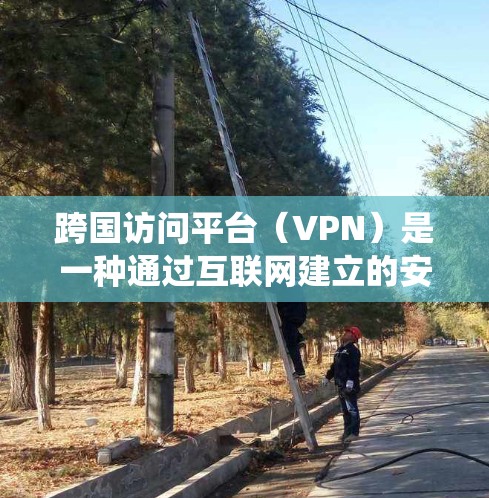 跨国访问平台（VPN）是一种通过互联网建立的安全连接，允许用户访问不同国家的网络资源，绕开地理限制。以下是关于跨国VPN的详细分步解释