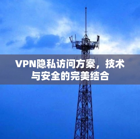 VPN隐私访问方案，技术与安全的完美结合