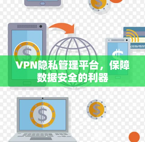 VPN隐私管理平台，保障数据安全的利器