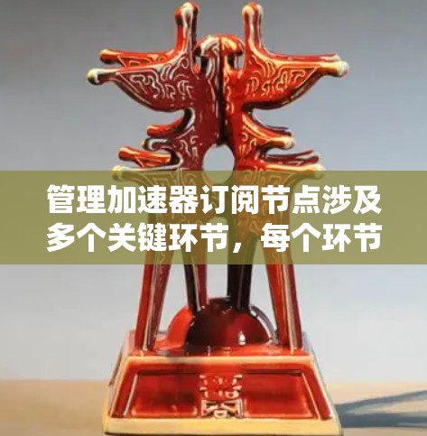 管理加速器订阅节点涉及多个关键环节，每个环节都需要细致考虑和优化，以确保用户能够高效、安全地利用这些节点。以下是对每个环节的详细分析