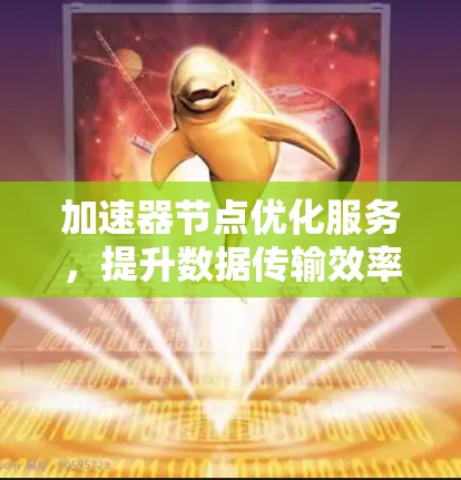 加速器节点优化服务，提升数据传输效率的关键