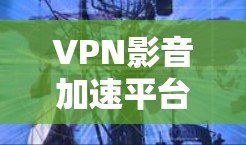 VPN影音加速平台可能是指通过VPN（虚拟专用网络）来加速影音内容的下载或播放。VPN是一种网络技术，能够在匿名或加密的网络环境下，访问被限制或屏蔽的内容。以下是一些可能与影音加速相关的平台和工具