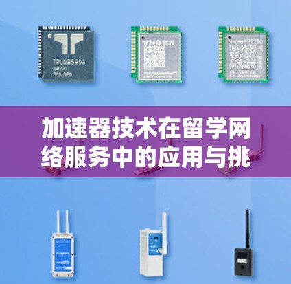 加速器技术在留学网络服务中的应用与挑战