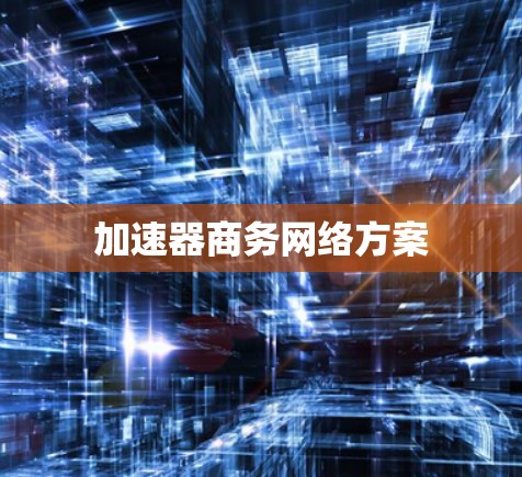 加速器商务网络方案