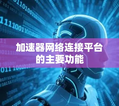 加速器网络连接平台的主要功能
