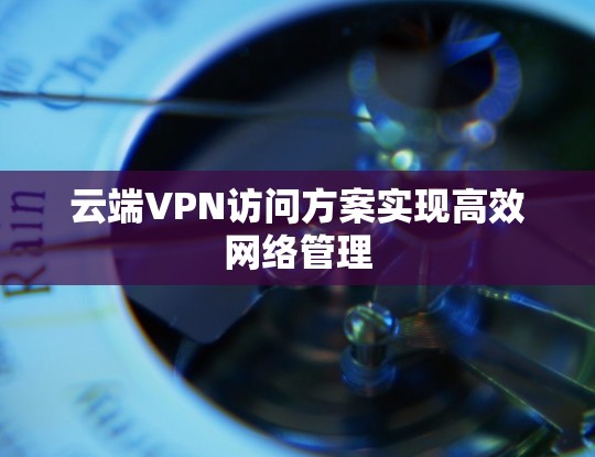 云端VPN访问方案实现高效网络管理