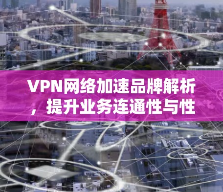 VPN网络加速品牌解析，提升业务连通性与性能