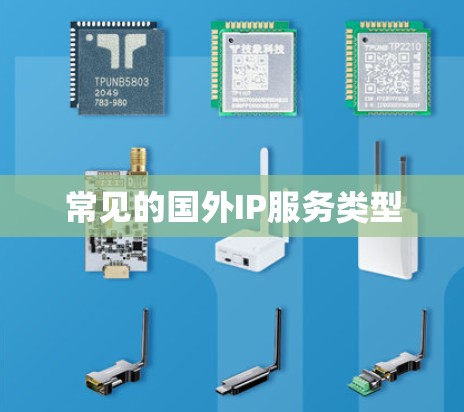 常见的国外IP服务类型