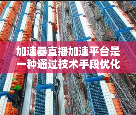 加速器直播加速平台是一种通过技术手段优化直播内容传播和用户观看体验的工具。以下是对其运作和应用的详细分析