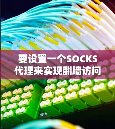 要设置一个SOCKS代理来实现翻墙访问，可以按照以下步骤操作