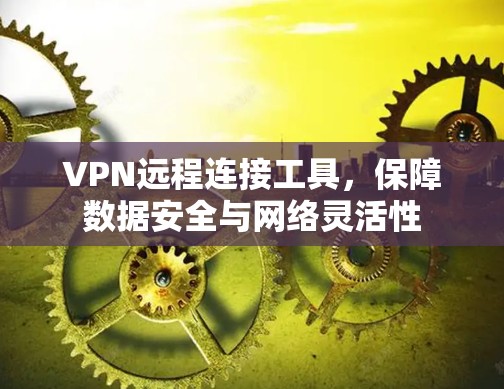 VPN远程连接工具，保障数据安全与网络灵活性